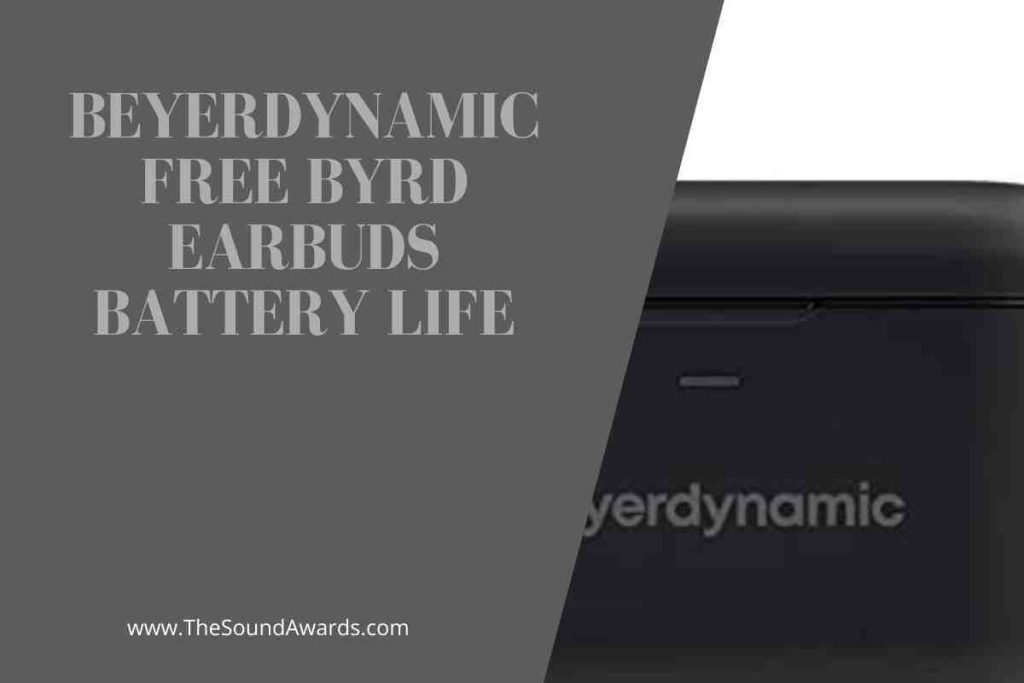 Beyerdynamic Free Byrd Earbuds Battery Life
